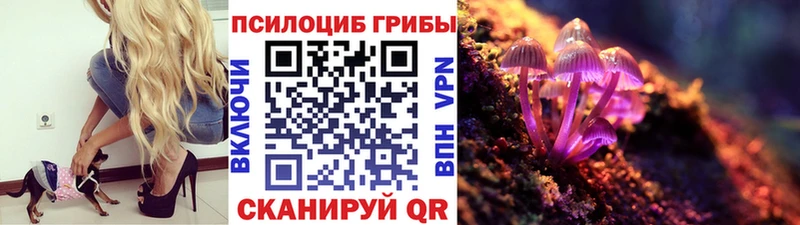 Галлюциногенные грибы MAGIC MUSHROOMS  купить   Тында 